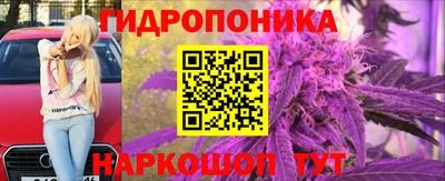 дживик Новокубанск