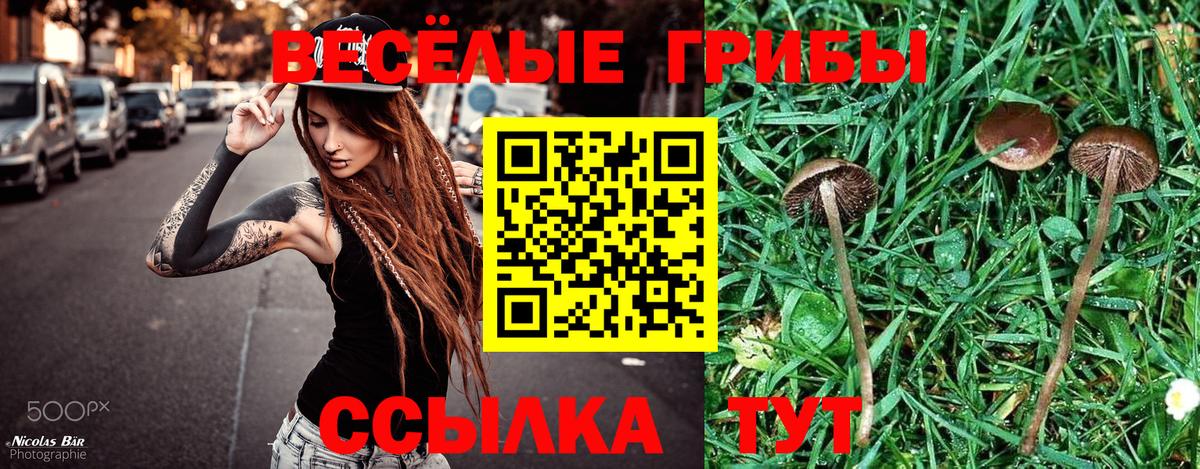 Галлюциногенные грибы прущие грибы Стрежевой