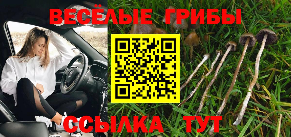 даркнет сайт  Вход с VPN  Стрежевой  Псилоцибиновые грибы GOLDEN TEACHER 